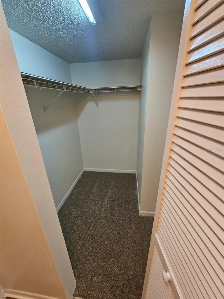 1485 Halsey Drive Dunedin FL 34698