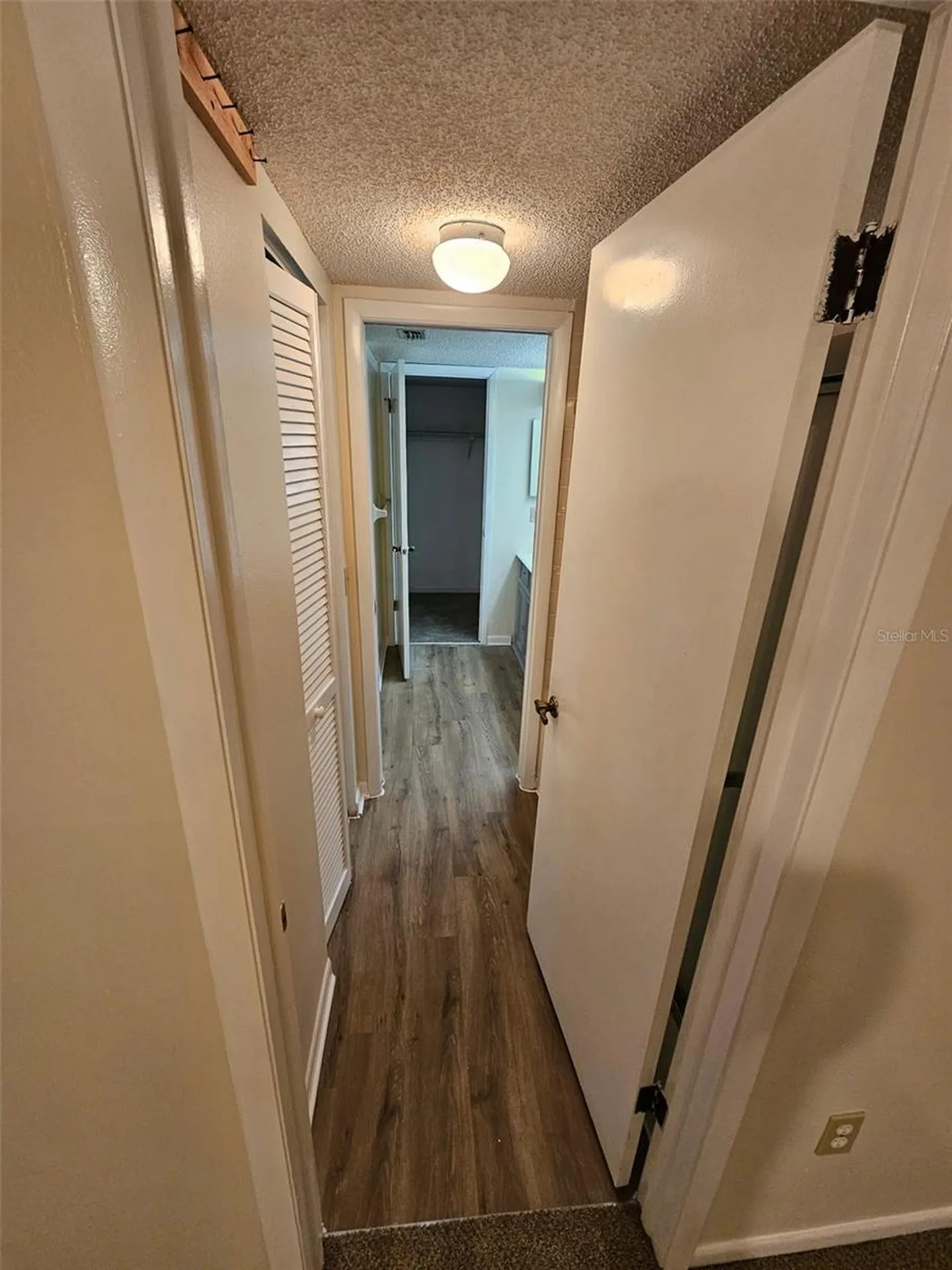 1485 Halsey Drive Dunedin FL 34698