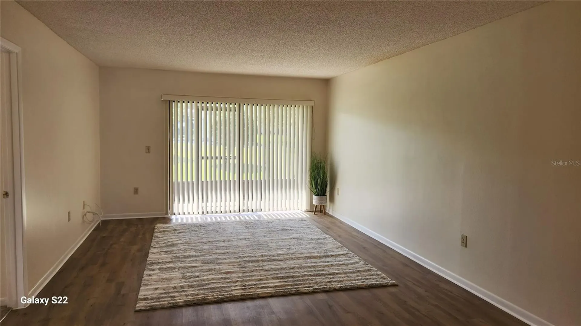1485 Halsey Drive Dunedin FL 34698