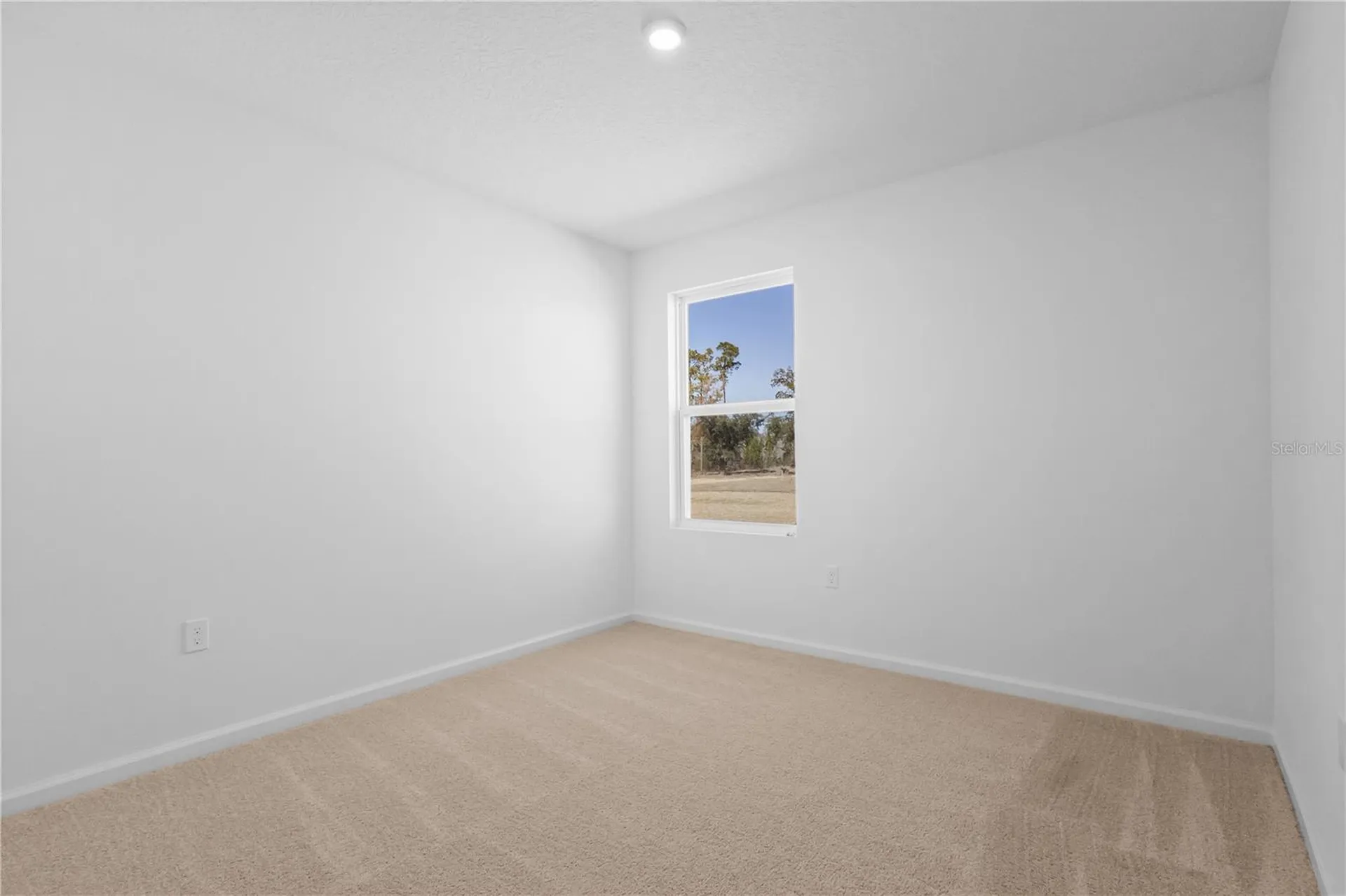 14288 NW 162nd Place Alachua FL 32615