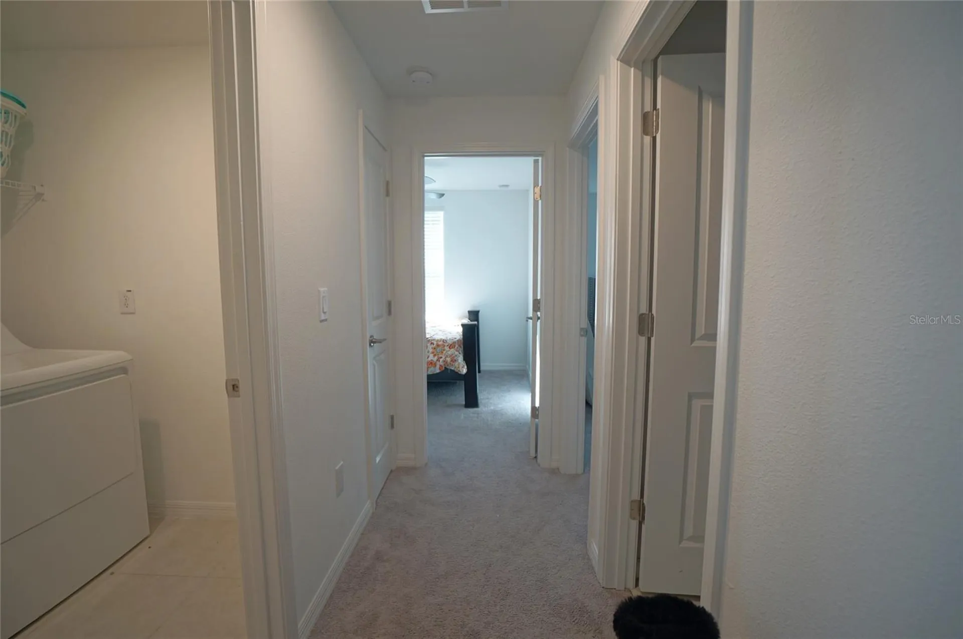 9904 Calypso Orchid Court Riverview FL 33578