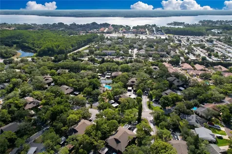 1006 Lennox Road W Palm Harbor FL 34683