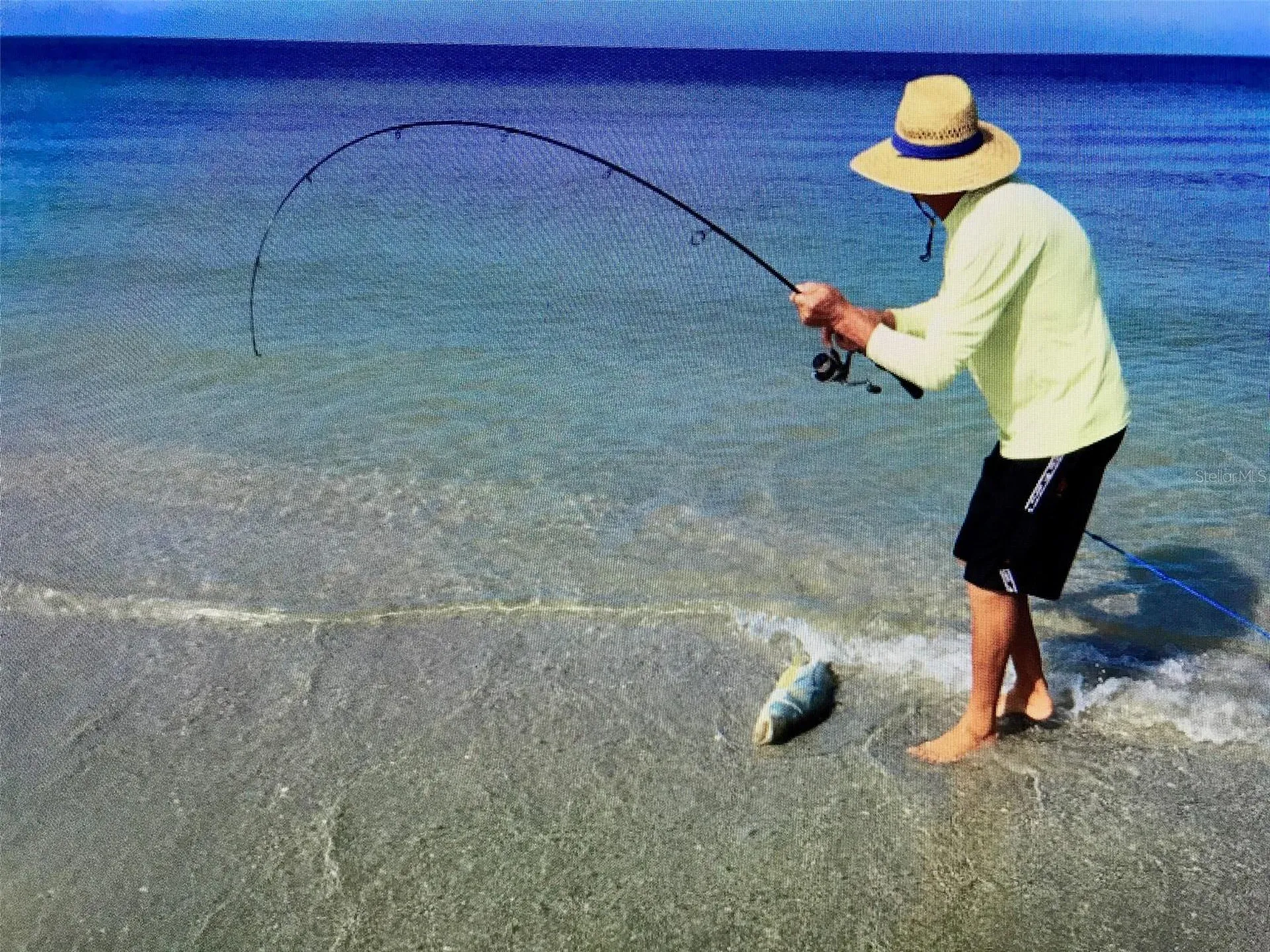 2504 Gulf Boulevard Indian Rocks Beach FL 33785