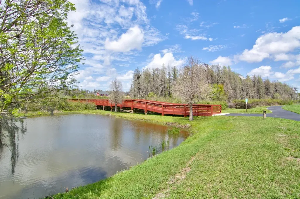 10426 Mount Dora Street New Port Richey FL 34655