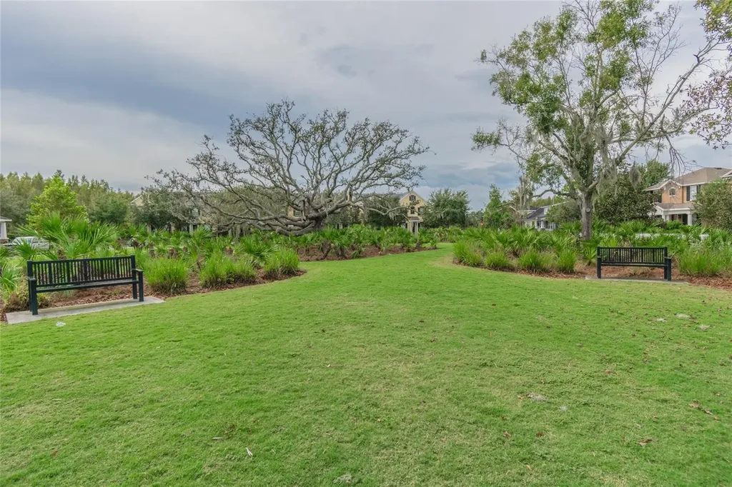 10426 Mount Dora Street New Port Richey FL 34655