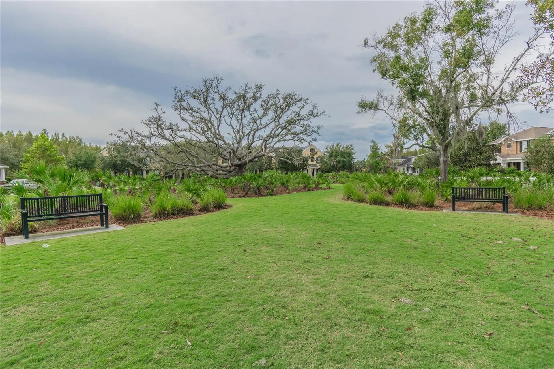 10426 Mount Dora Street New Port Richey FL 34655