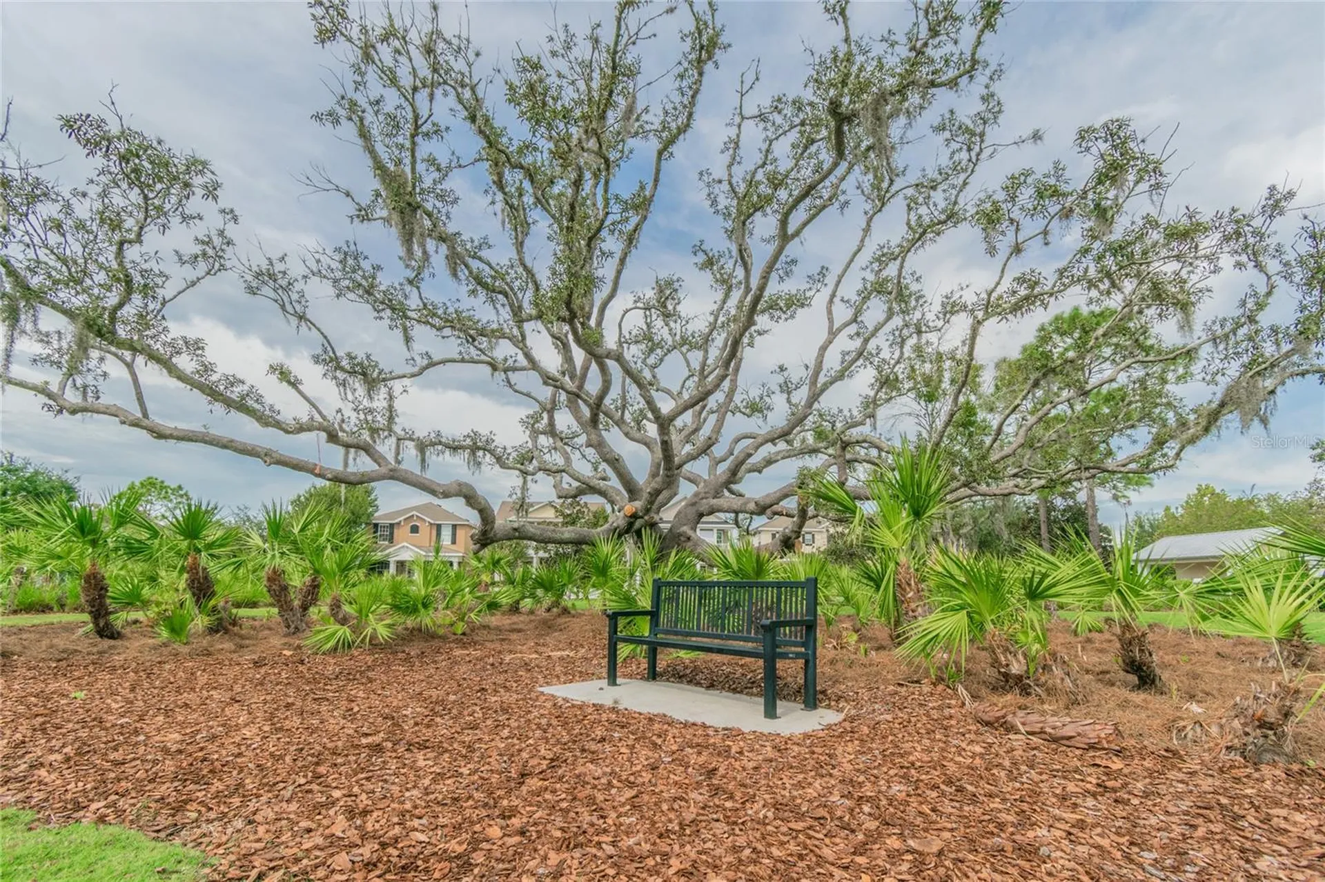 10426 Mount Dora Street New Port Richey FL 34655