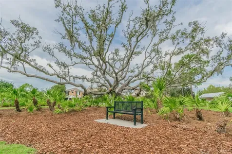 10426 Mount Dora Street New Port Richey FL 34655