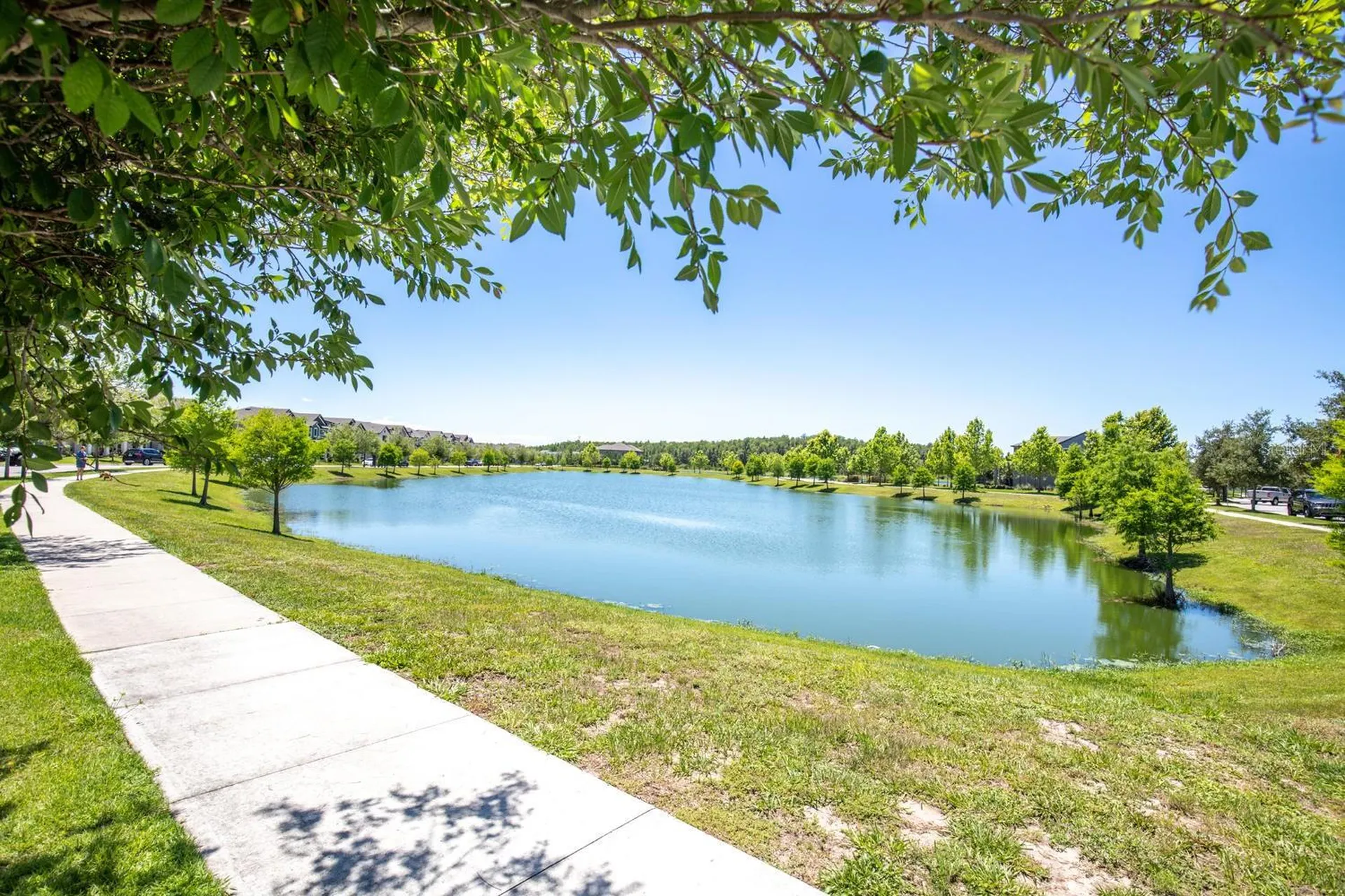 3839 Barbour Trail Odessa FL 33556