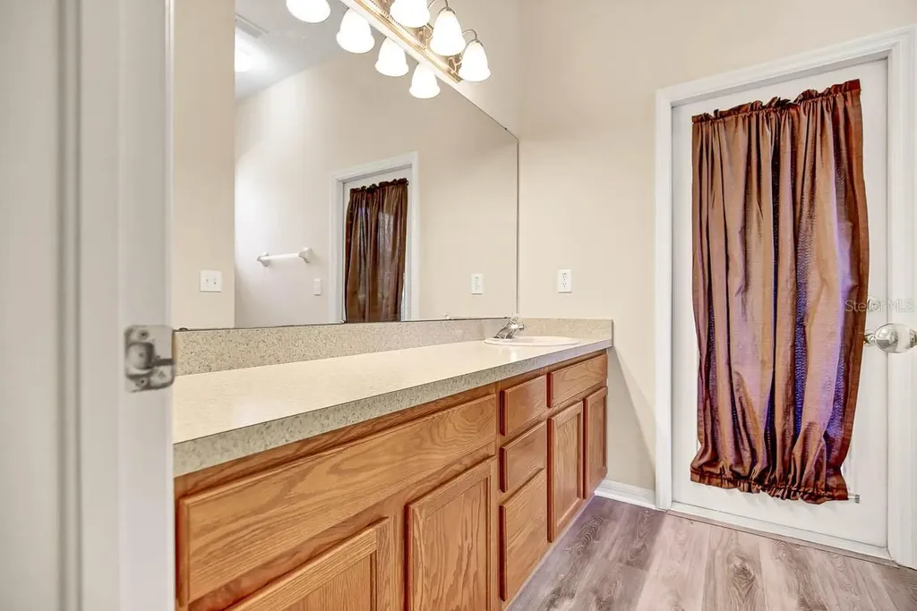 16326 Bridgelawn Avenue Lithia FL 33547