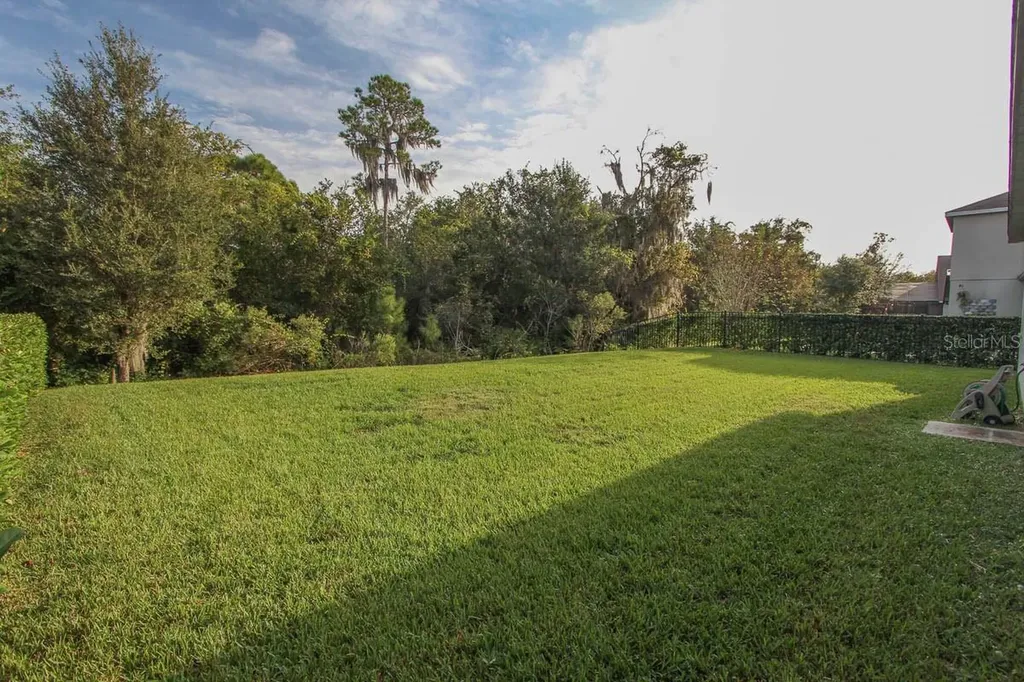 16326 Bridgelawn Avenue Lithia FL 33547