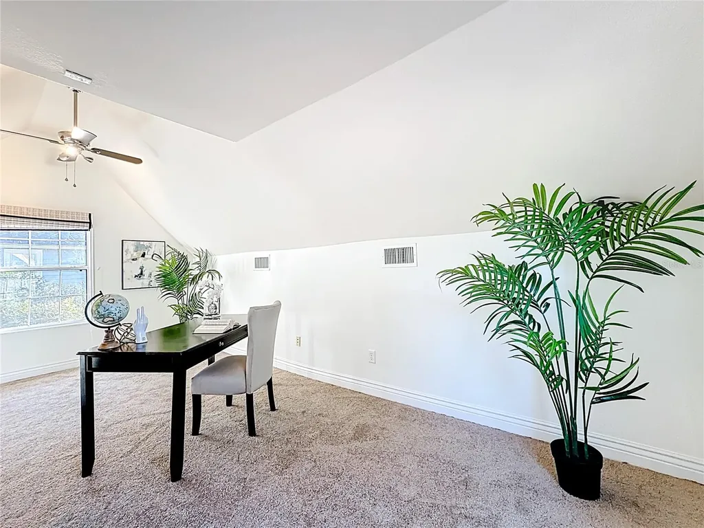 1148 N Grandview Street Mount Dora FL 32757