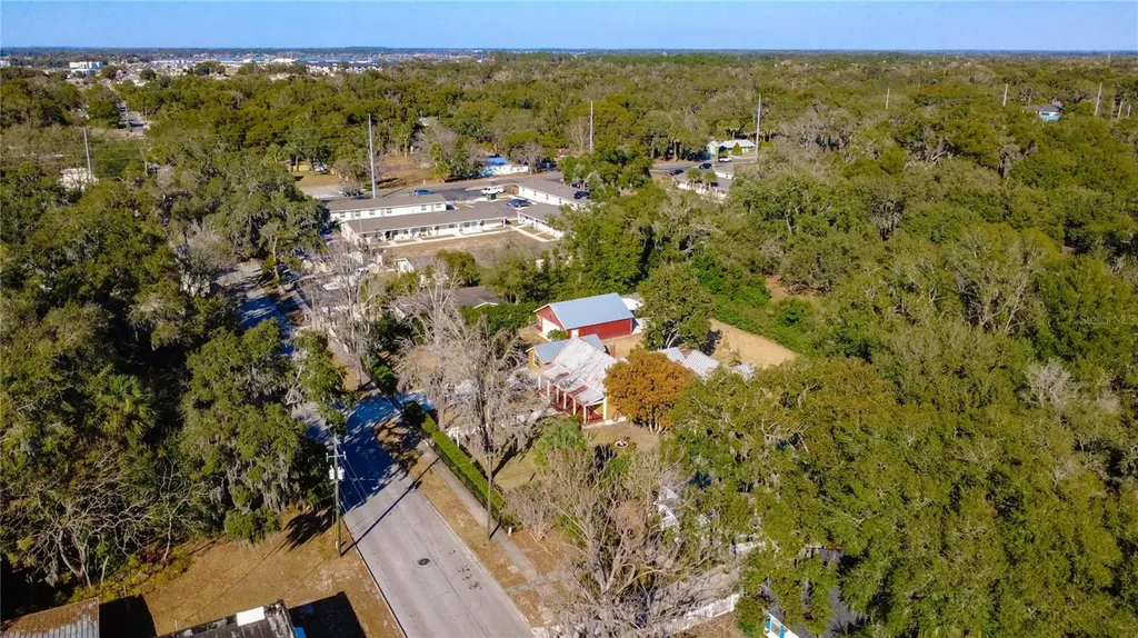 1148 N Grandview Street Mount Dora FL 32757