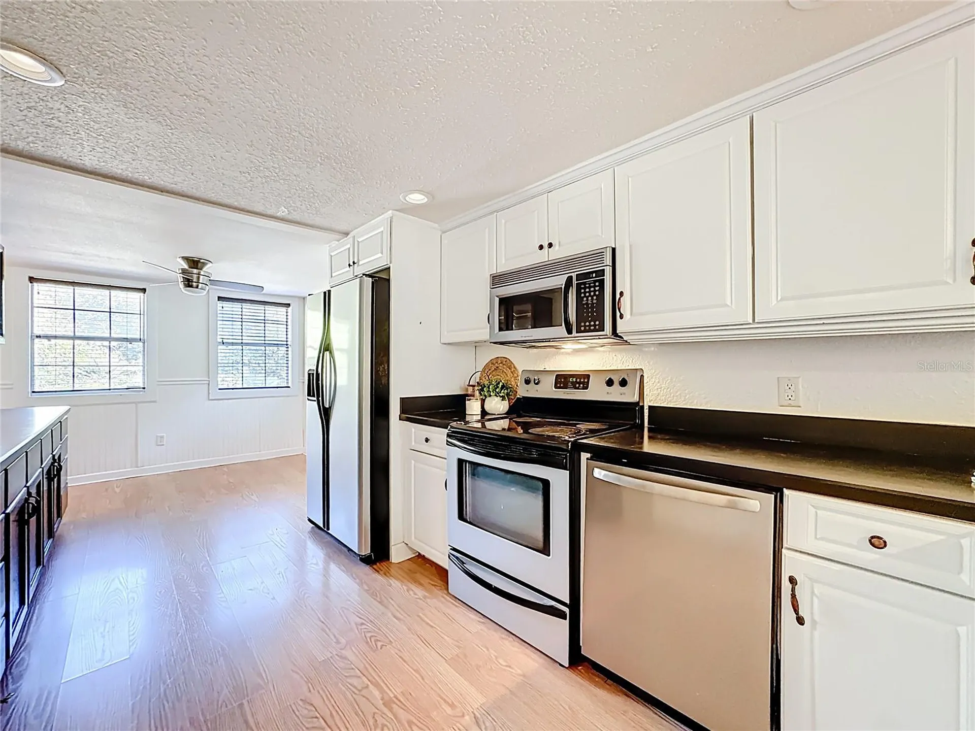 1148 N Grandview Street Mount Dora FL 32757