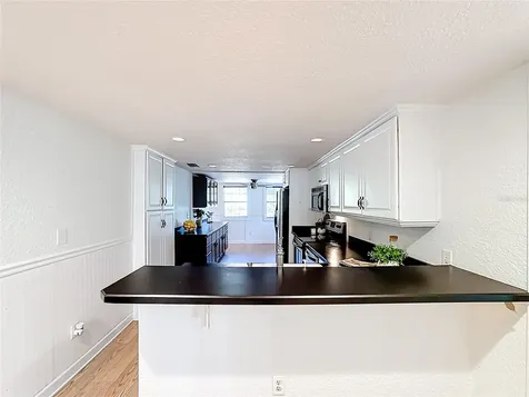 1148 N Grandview Street Mount Dora FL 32757