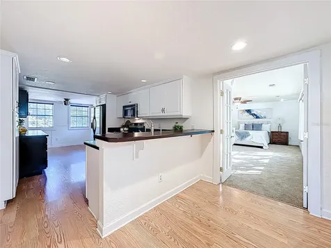 1148 N Grandview Street Mount Dora FL 32757
