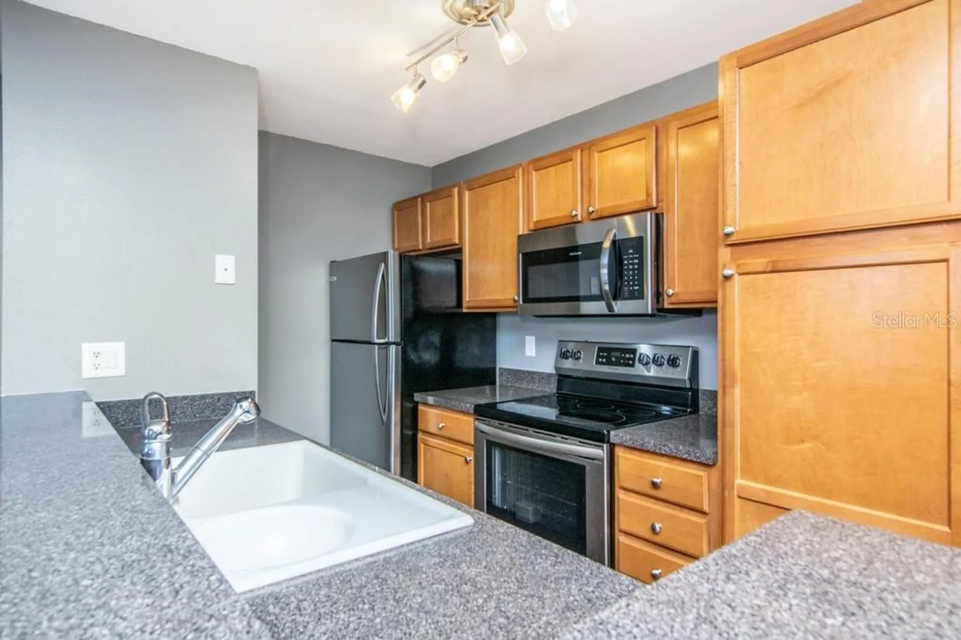 214 Lake Parsons Green Brandon FL 33511