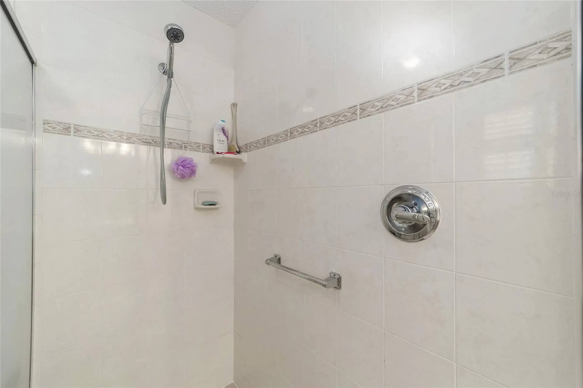 1870 Treadwell Terrace The Villages FL 32162