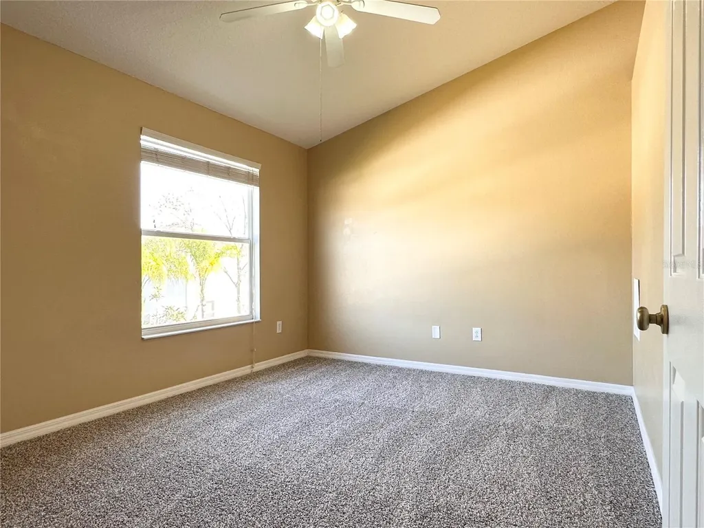 12276 Country White Circle Tampa FL 33635