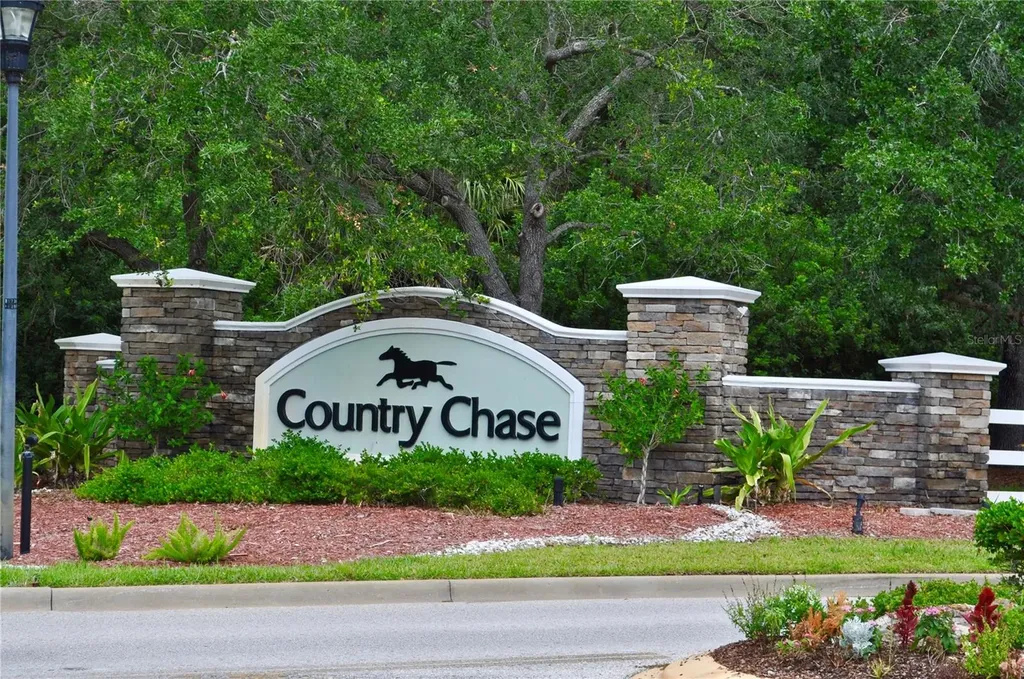 12276 Country White Circle Tampa FL 33635