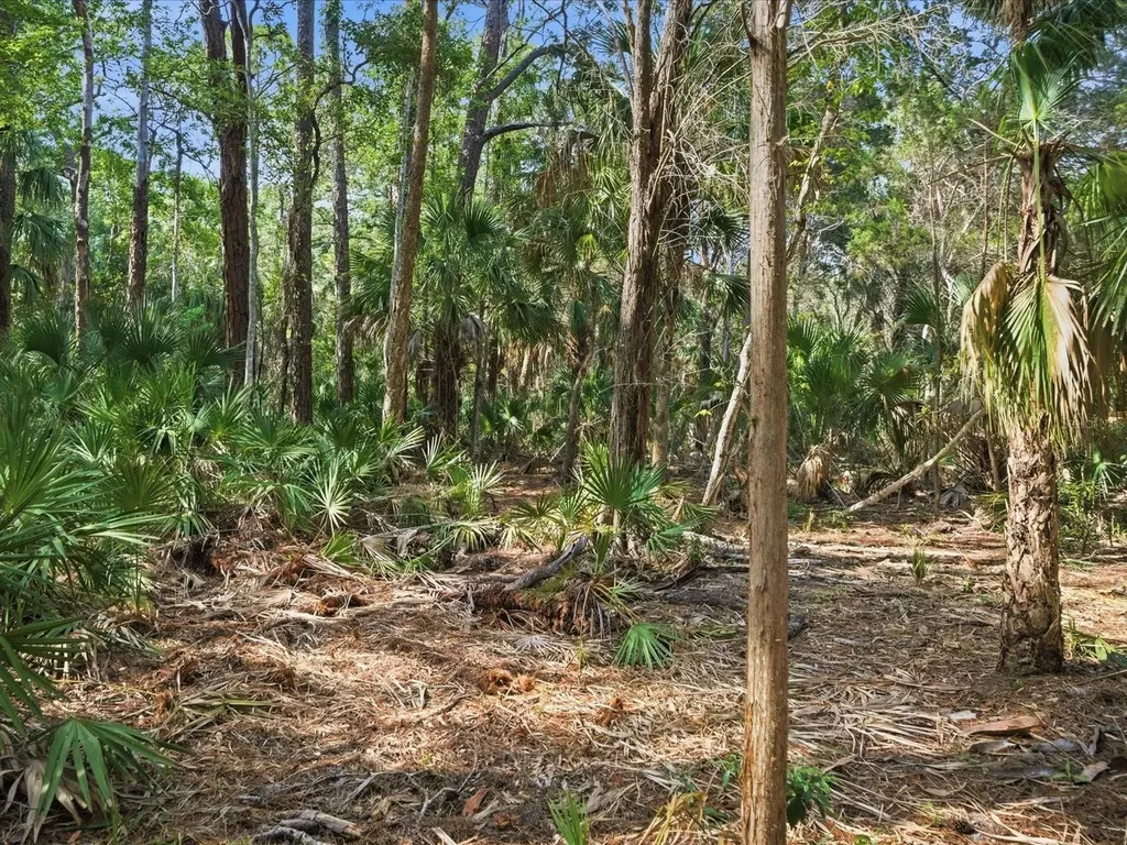 0 Osowaw Spring Hill FL 34607