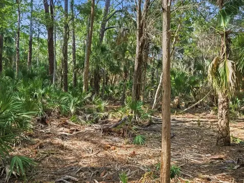 0 Osowaw Spring Hill FL 34607