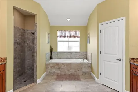 14820 Borromini Street Montverde FL 34756