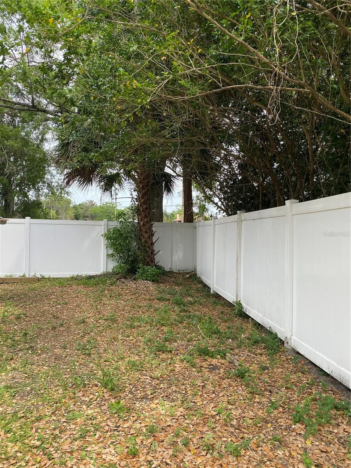 1709 Fairview Shores Drive Orlando FL 32804