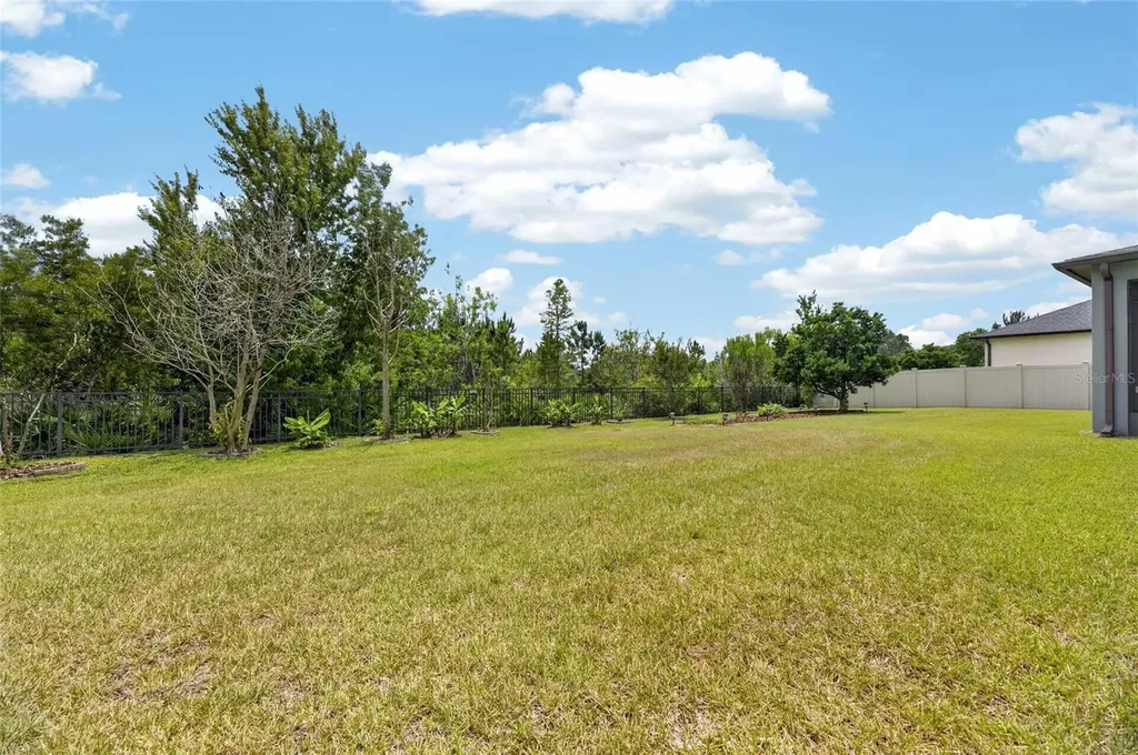2905 Hilliard Drive Wesley Chapel FL 33543