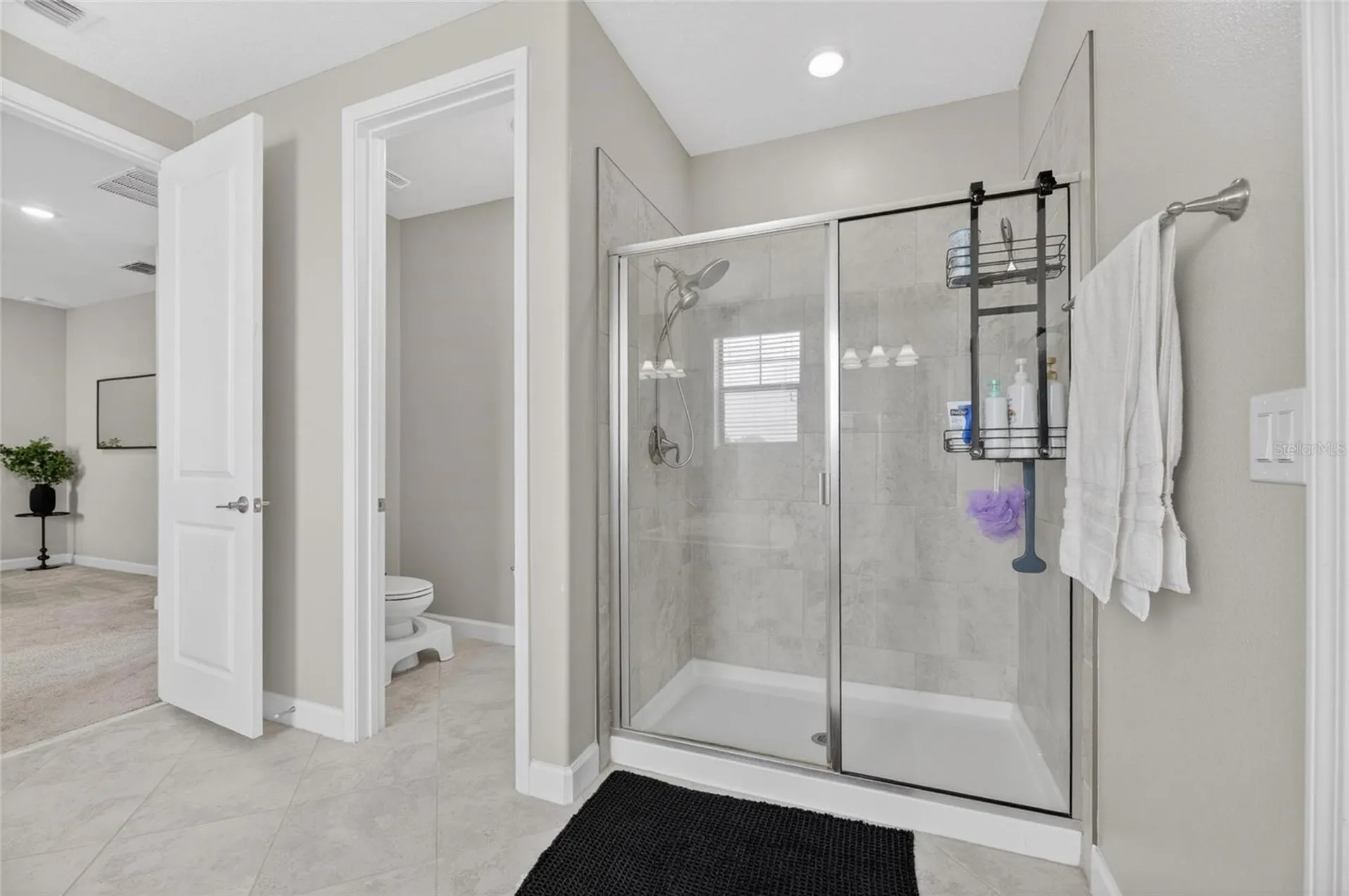 2905 Hilliard Drive Wesley Chapel FL 33543