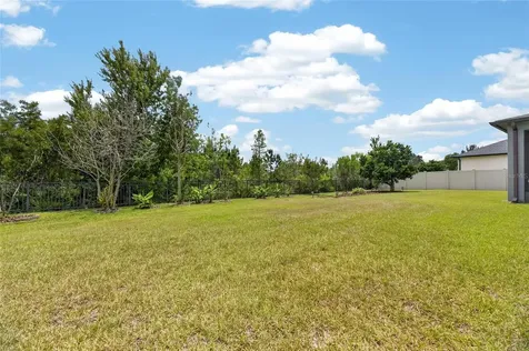 2905 Hilliard Drive Wesley Chapel FL 33543