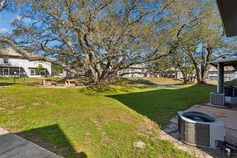 5182 Sunridge Palms Drive Tampa FL 33617
