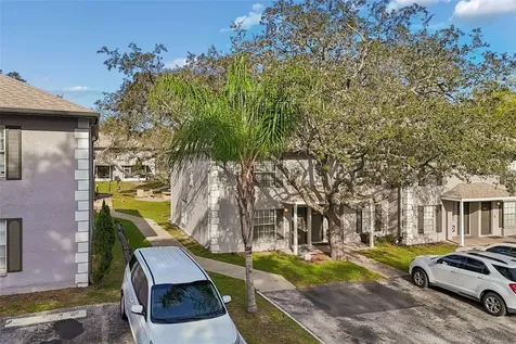 5182 Sunridge Palms Drive Tampa FL 33617