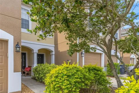 10135 Post Harvest Drive Riverview FL 33578