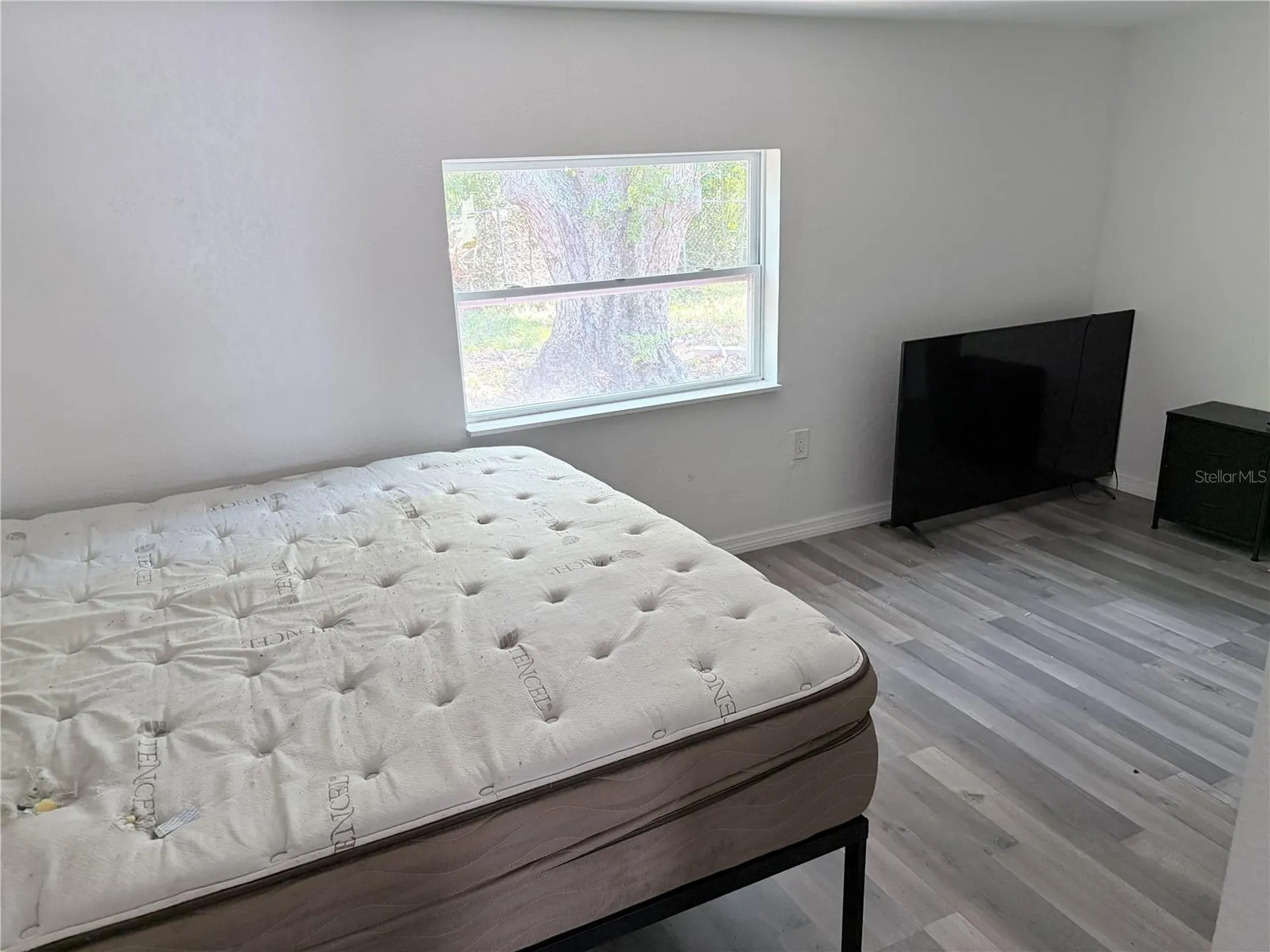 3818 Moog Road Holiday FL 34691