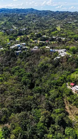 Carr. 414 Km 3.2 Bo.cruces Aguada PR 00602