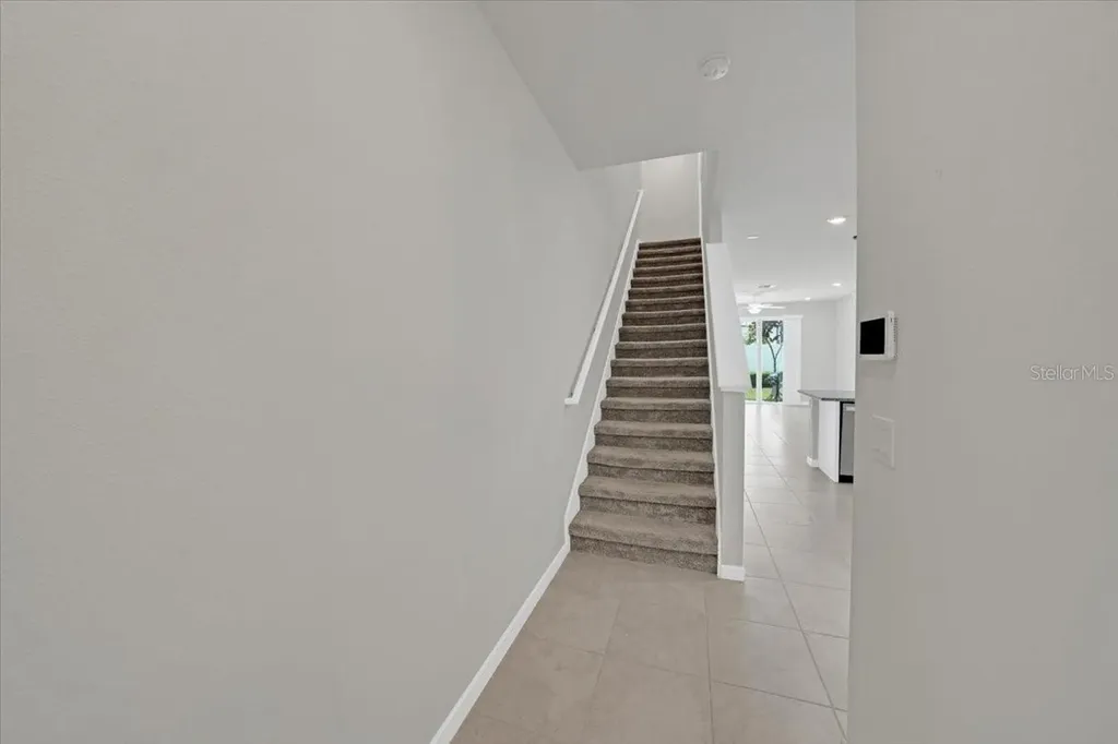 2906 Deer Pine Trail Land O Lakes FL 34638