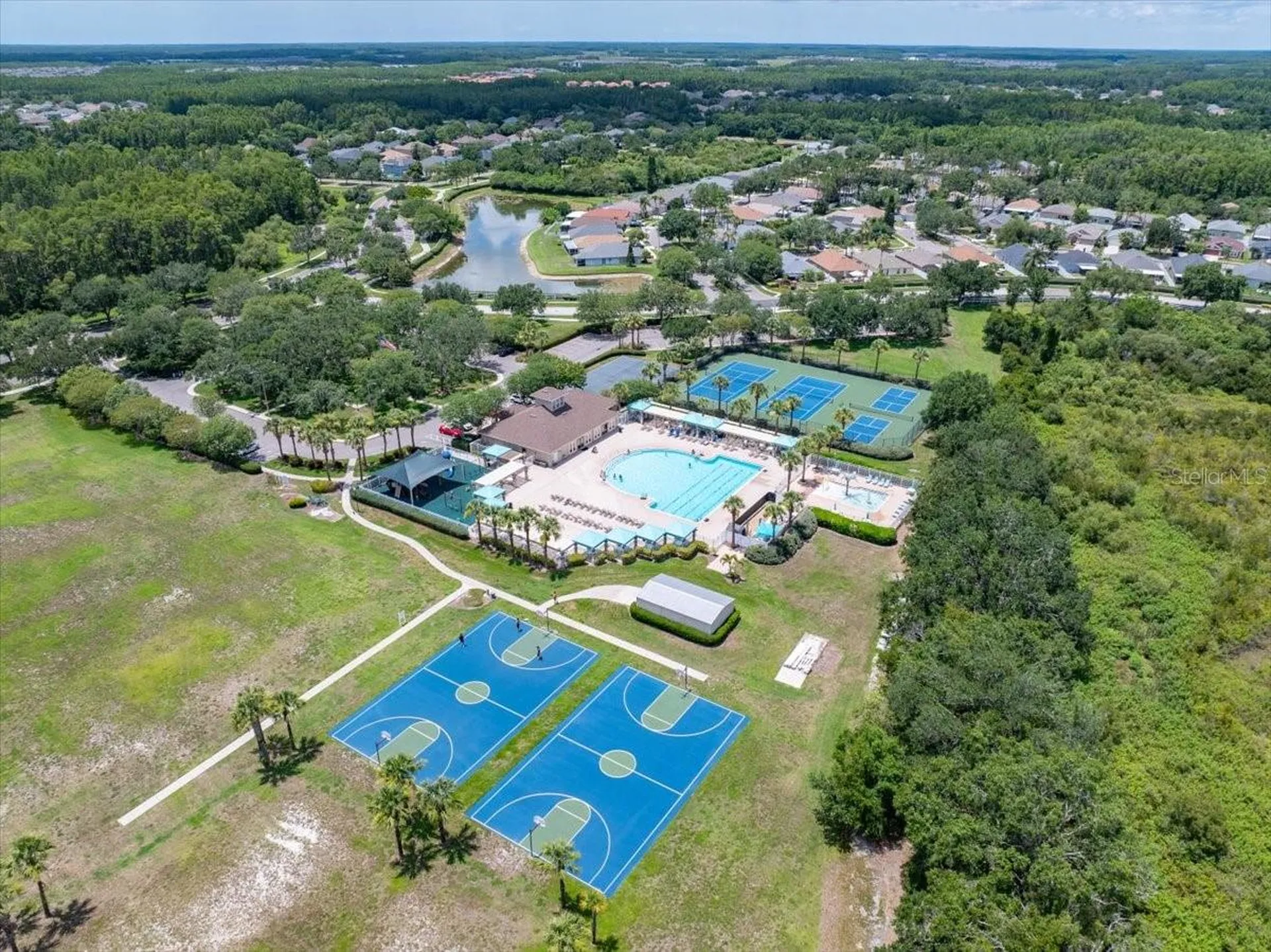 2906 Deer Pine Trail Land O Lakes FL 34638