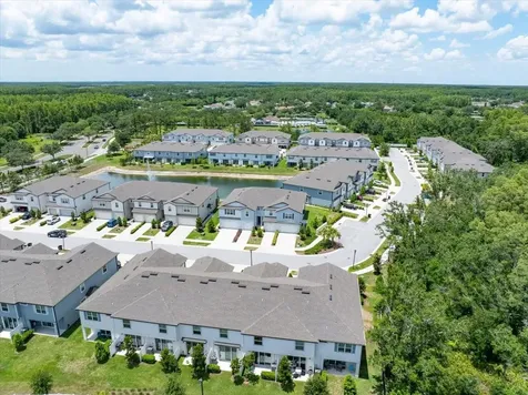 2906 Deer Pine Trail Land O Lakes FL 34638