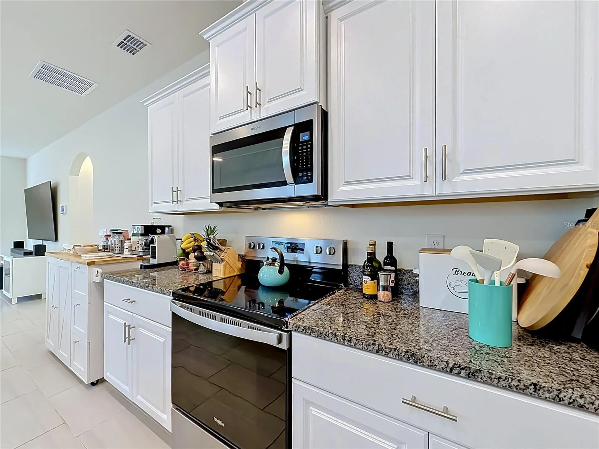 11117 Bostwick Alley Winter Garden FL 34787