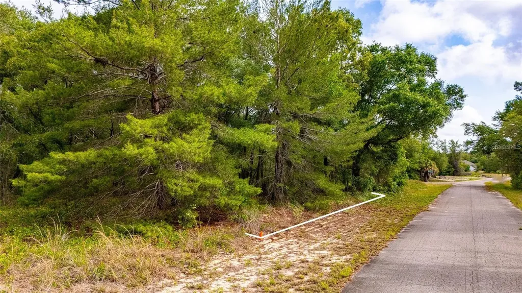 Magnolia Drive Ocklawaha FL 32179