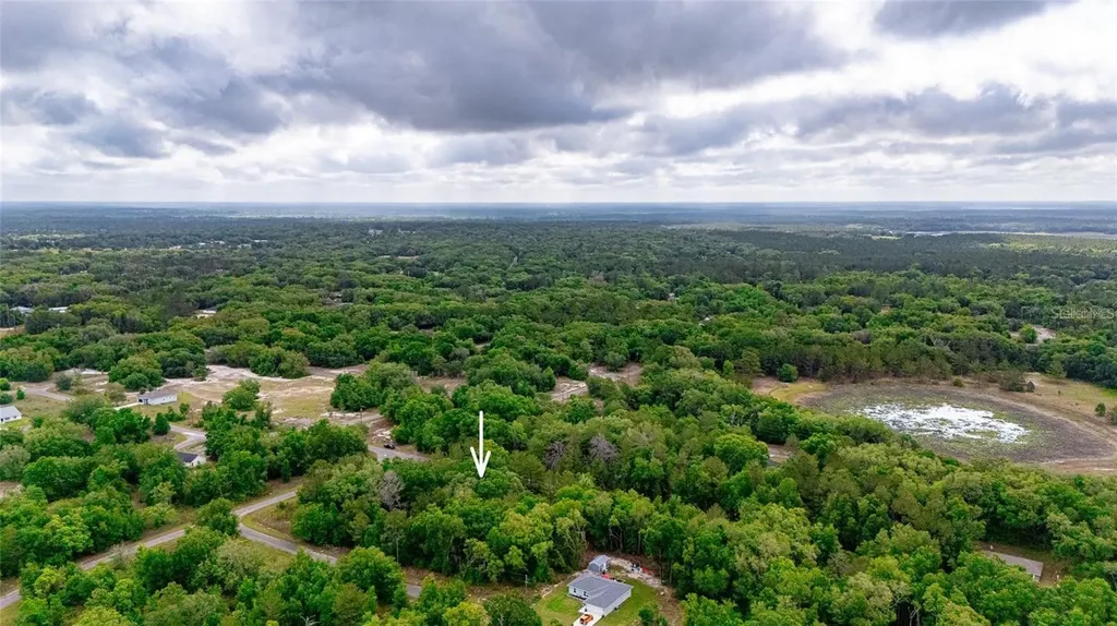 Magnolia Drive Ocklawaha FL 32179
