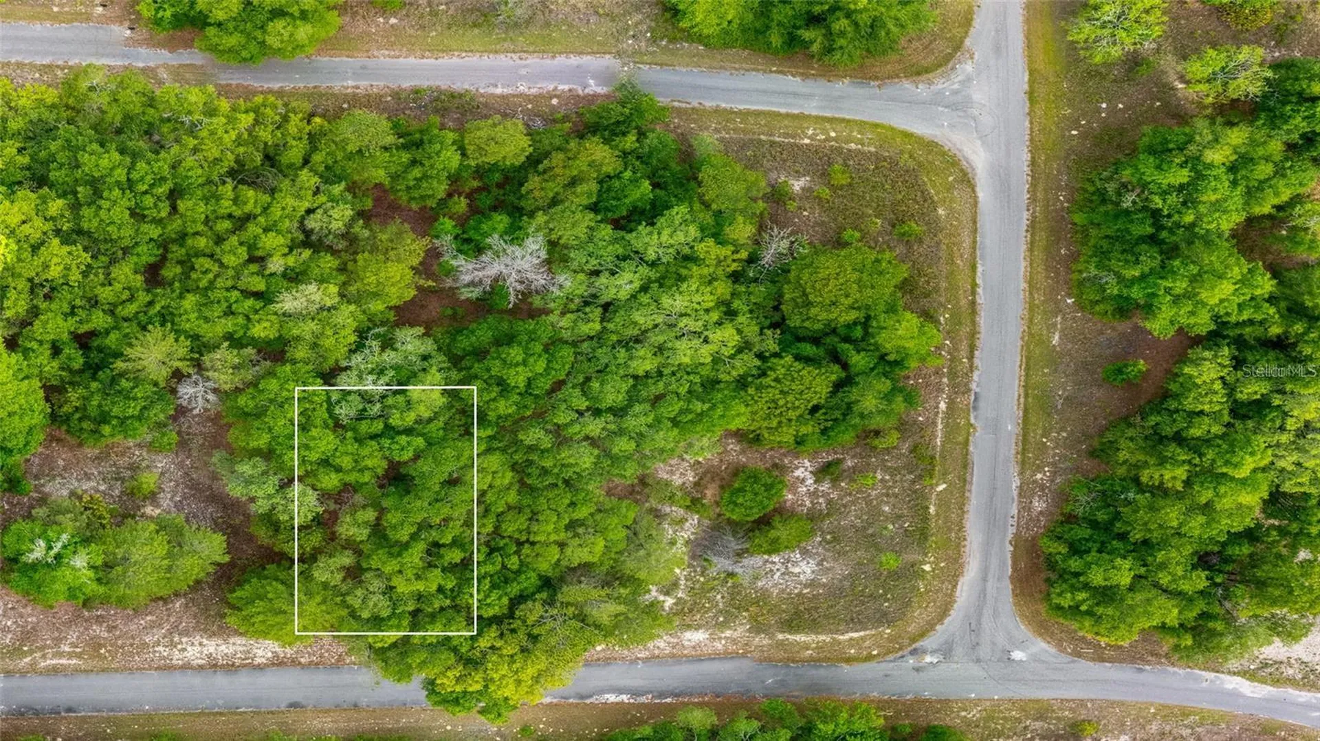 Magnolia Drive Ocklawaha FL 32179