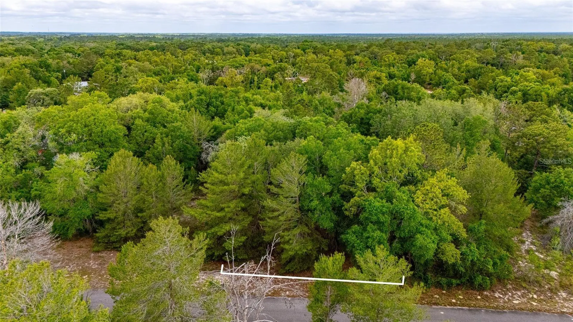 Magnolia Drive Ocklawaha FL 32179