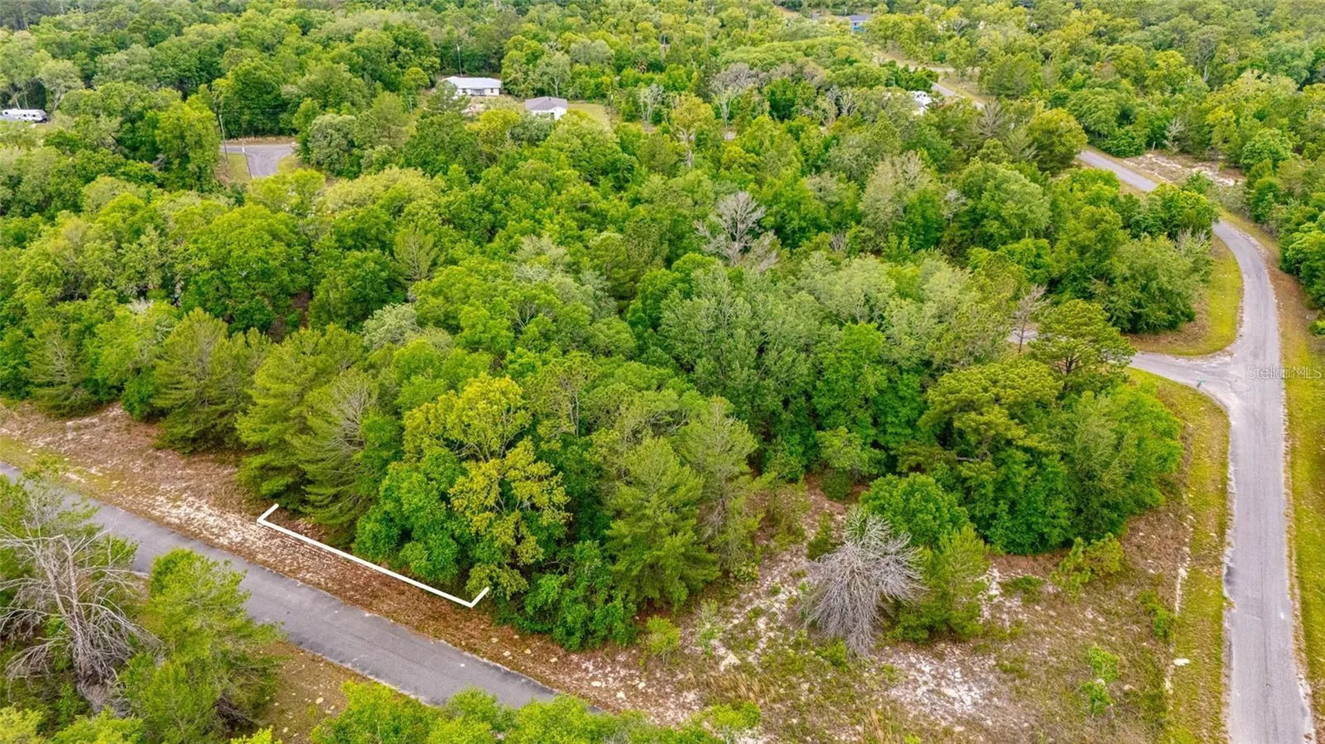 Magnolia Drive Ocklawaha FL 32179