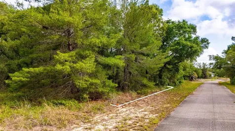Magnolia Drive Ocklawaha FL 32179