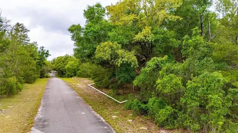 Magnolia Drive Ocklawaha FL 32179