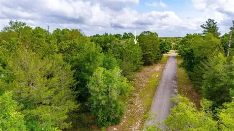 Magnolia Drive Ocklawaha FL 32179