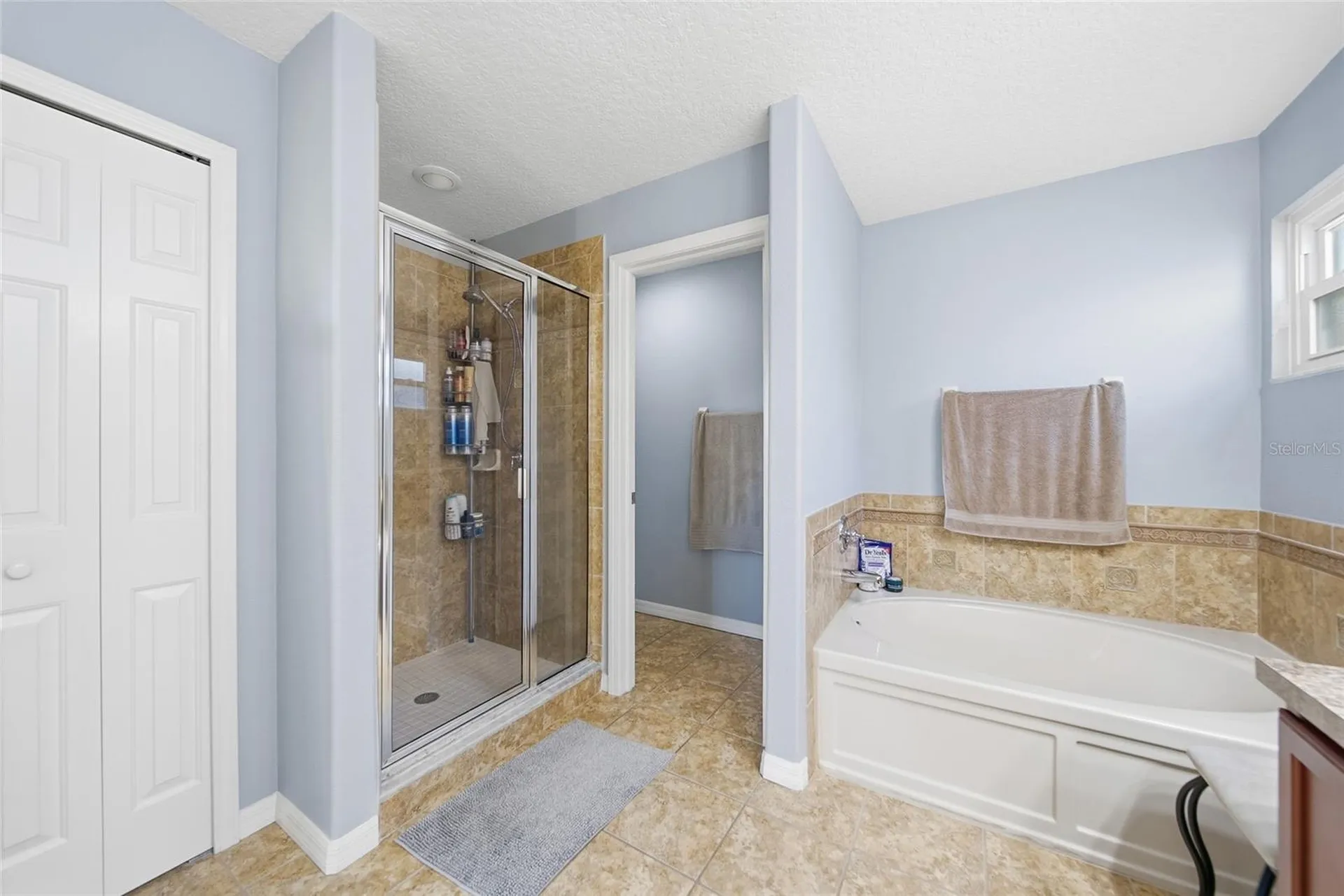 18133 Bahama Bay Drive Tampa FL 33647