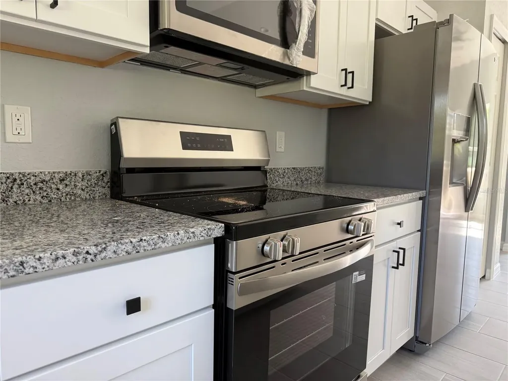 3 Guava Place Drive Ocklawaha FL 32179